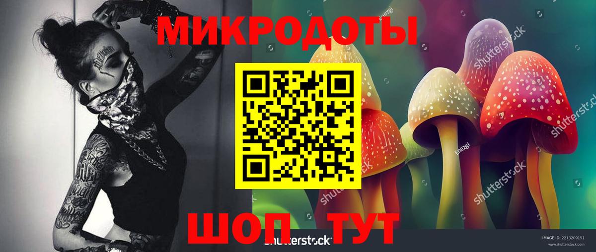 Сосновоборск  Псилоцибиновые грибы прущие грибы  Вход с VPN 